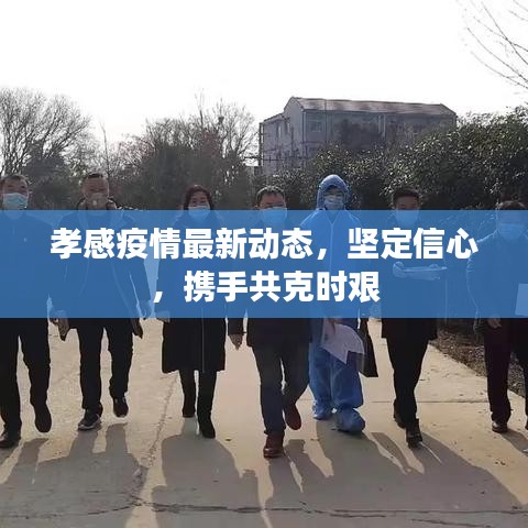 孝感疫情最新动态，坚定信心，携手共克时艰