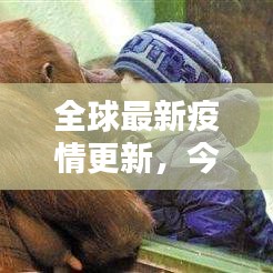 宁静致远