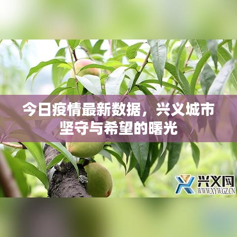 行业新闻 第5页