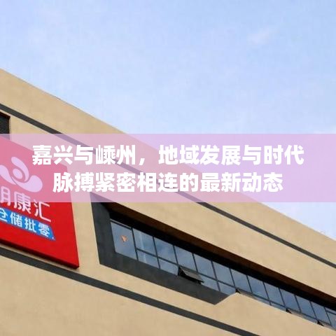嘉兴与嵊州，地域发展与时代脉搏紧密相连的最新动态