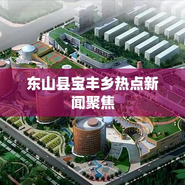 东山县宝丰乡热点新闻聚焦