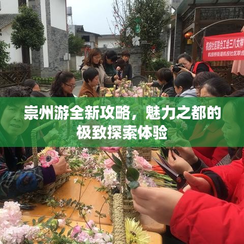 崇州游全新攻略，魅力之都的极致探索体验