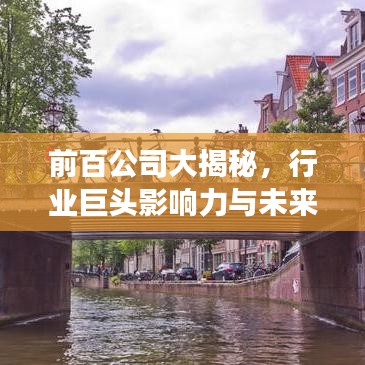 前百公司大揭秘，行业巨头影响力与未来趋势展望