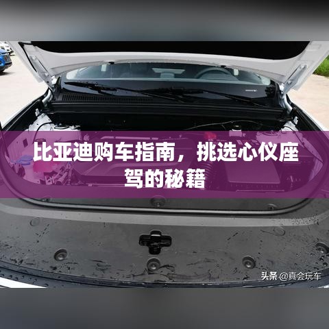 贵人多忘事