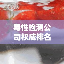 毒性检测公司权威排名榜，揭秘行业内顶尖检测力量