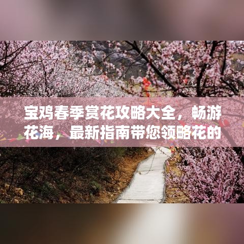 宝鸡春季赏花攻略大全，畅游花海，最新指南带您领略花的世界