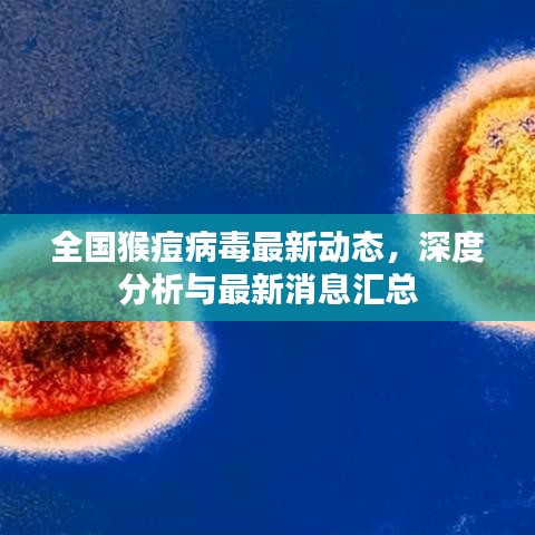 全国猴痘病毒最新动态，深度分析与最新消息汇总