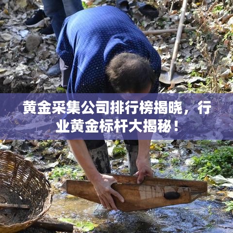 黄金采集公司排行榜揭晓，行业黄金标杆大揭秘！
