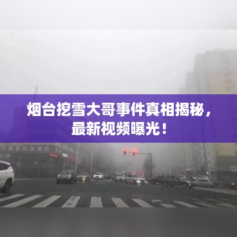 烟台挖雪大哥事件真相揭秘，最新视频曝光！