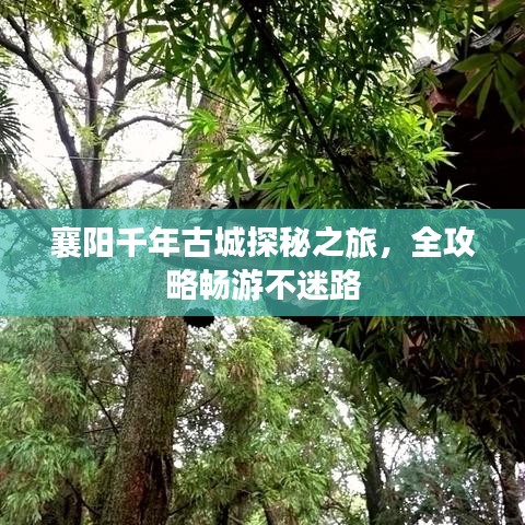 襄阳千年古城探秘之旅，全攻略畅游不迷路