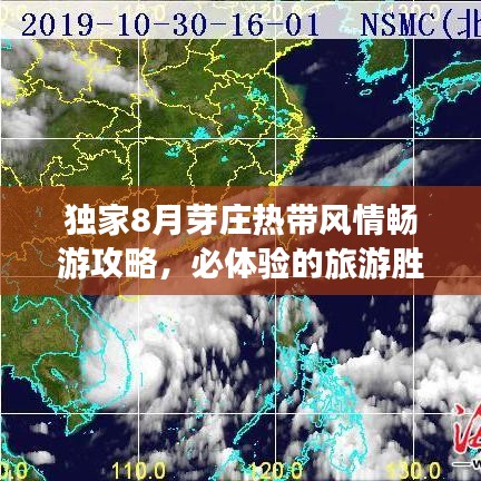 独家8月芽庄热带风情畅游攻略，必体验的旅游胜地！