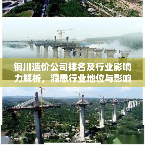 铜川造价公司排名及行业影响力解析，洞悉行业地位与影响力
