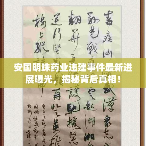 安国明珠药业违建事件最新进展曝光，揭秘背后真相！