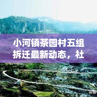 小河镇茶园村五组拆迁最新动态，社区变迁与未来展望