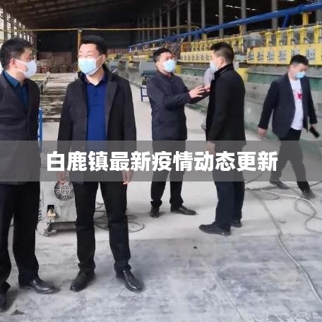 白鹿镇最新疫情动态更新