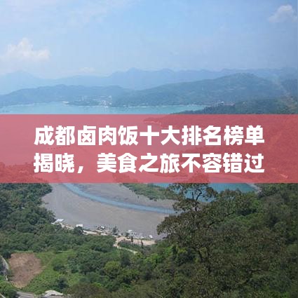 成都卤肉饭十大排名榜单揭晓，美食之旅不容错过的绝佳选择