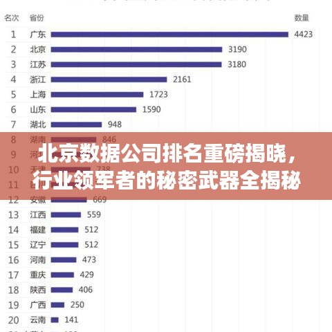 北京数据公司排名重磅揭晓，行业领军者的秘密武器全揭秘