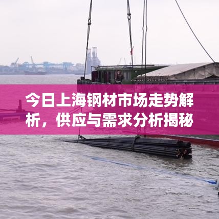 第300页