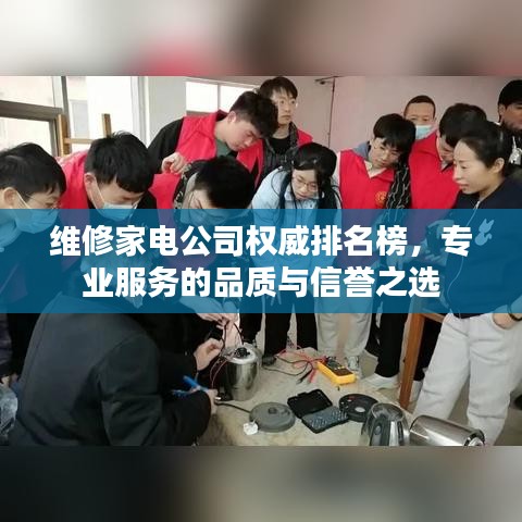 维修家电公司权威排名榜，专业服务的品质与信誉之选