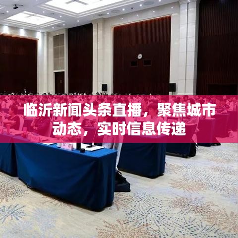 临沂新闻头条直播，聚焦城市动态，实时信息传递