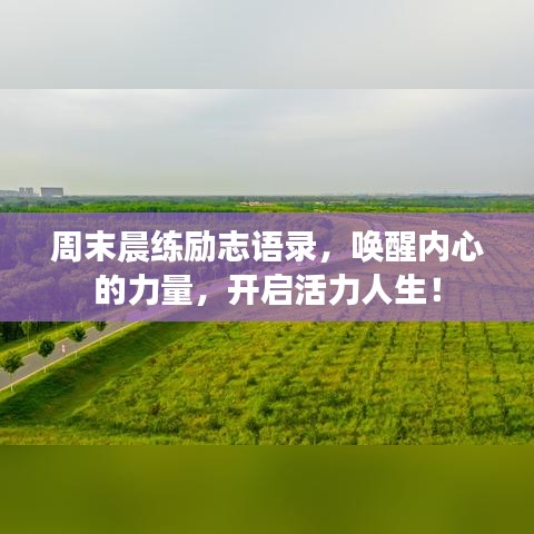 周末晨练励志语录，唤醒内心的力量，开启活力人生！