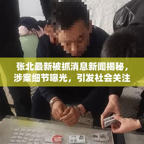 张北最新被抓消息新闻揭秘，涉案细节曝光，引发社会关注热议