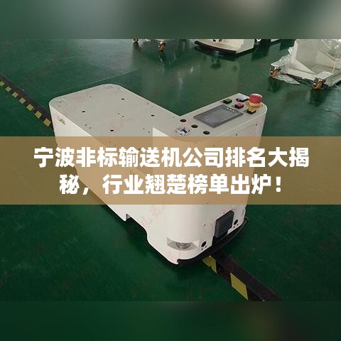 宁波非标输送机公司排名大揭秘，行业翘楚榜单出炉！