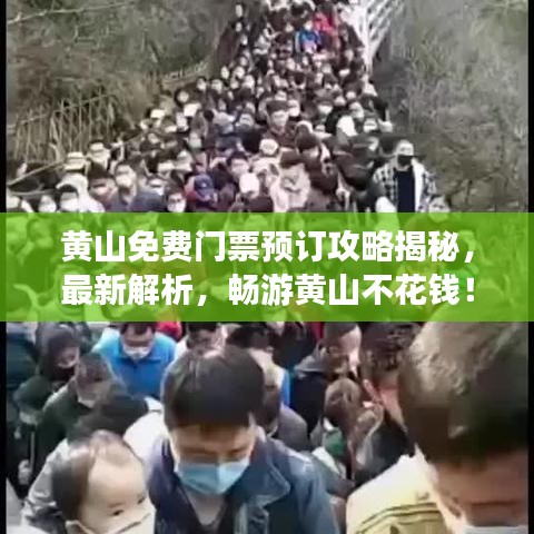 黄山免费门票预订攻略揭秘，最新解析，畅游黄山不花钱！