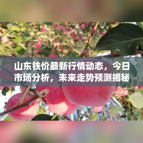 山东铁价最新行情动态，今日市场分析，未来走势预测揭秘
