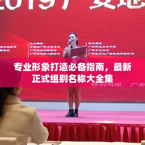 专业形象打造必备指南，最新正式组别名称大全集