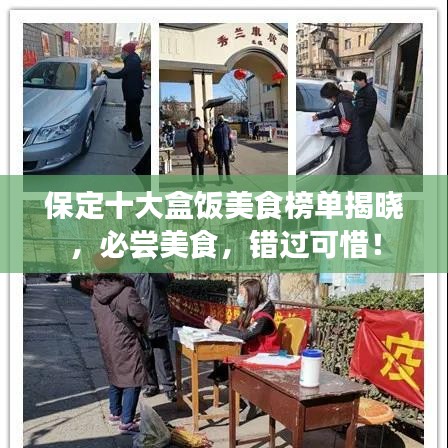 保定十大盒饭美食榜单揭晓，必尝美食，错过可惜！
