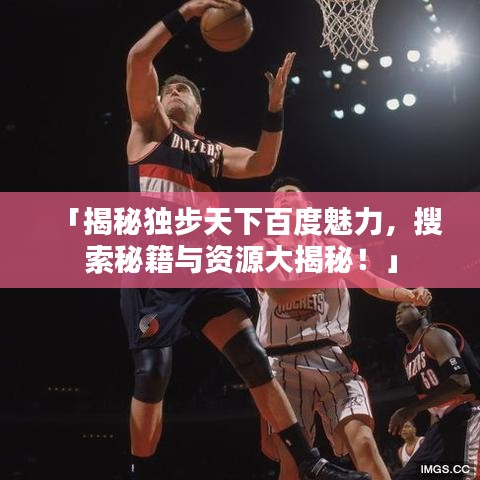 「揭秘独步天下百度魅力，搜索秘籍与资源大揭秘！」