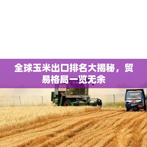 全球玉米出口排名大揭秘，贸易格局一览无余