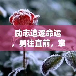 励志追逐命运，勇往直前，掌握命运之舵