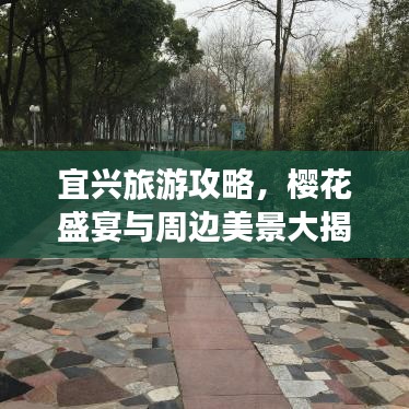 宜兴旅游攻略，樱花盛宴与周边美景大揭秘！