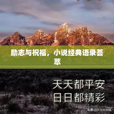 励志与祝福，小说经典语录荟萃