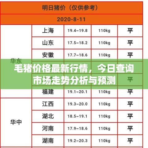 毛猪价格最新行情，今日查询市场走势分析与预测