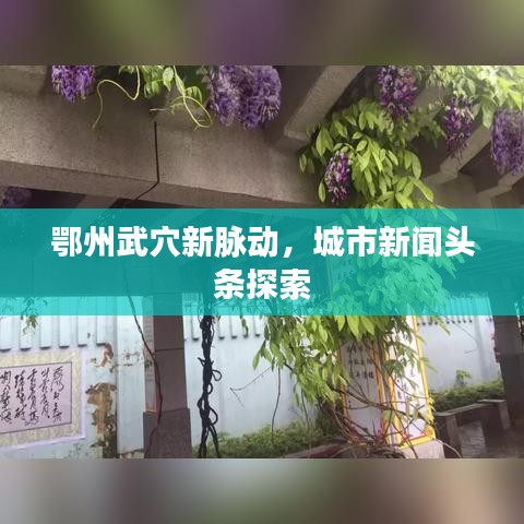 鄂州武穴新脉动，城市新闻头条探索