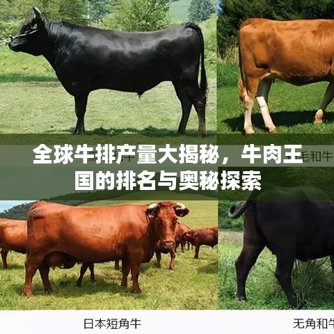全球牛排产量大揭秘，牛肉王国的排名与奥秘探索
