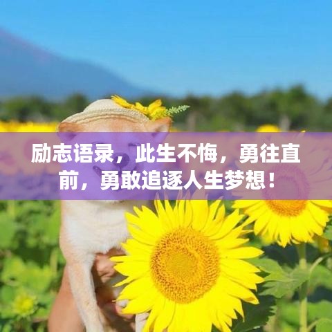 励志语录，此生不悔，勇往直前，勇敢追逐人生梦想！