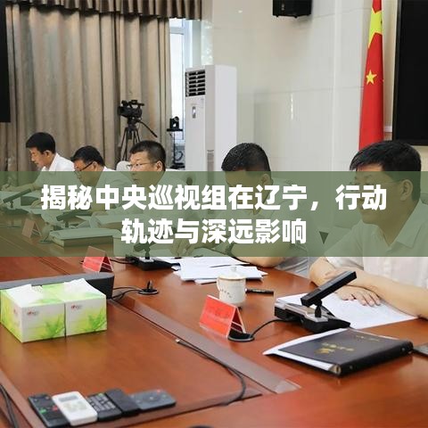 揭秘中央巡视组在辽宁，行动轨迹与深远影响