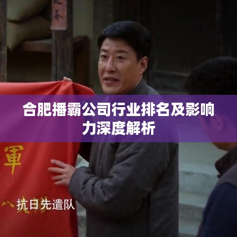 合肥播霸公司行业排名及影响力深度解析
