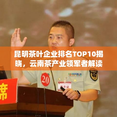 昆明茶叶企业排名TOP10揭晓，云南茶产业领军者解读