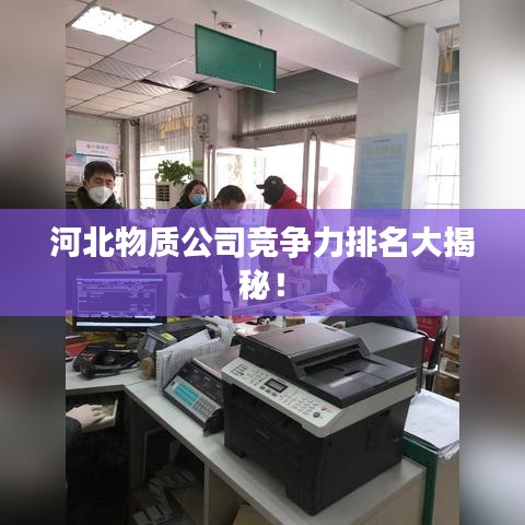 河北物质公司竞争力排名大揭秘！