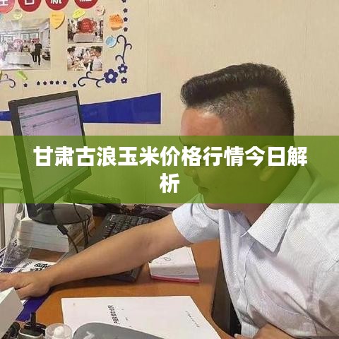 甘肃古浪玉米价格行情今日解析