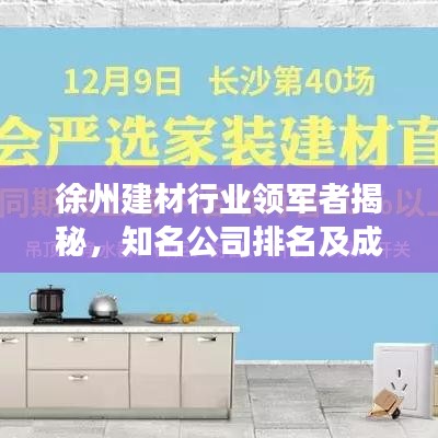 徐州建材行业领军者揭秘，知名公司排名及成功之道解读