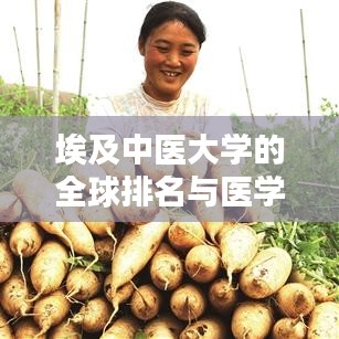 埃及中医大学的全球排名与医学领域国际影响力解析