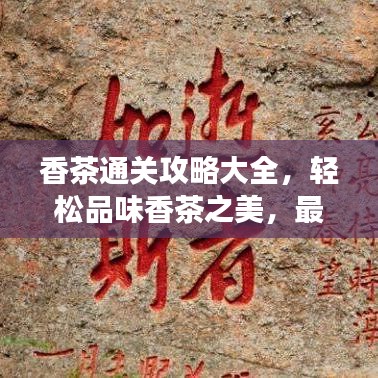 香茶通关攻略大全，轻松品味香茶之美，最新指南助你畅享茶道之旅！