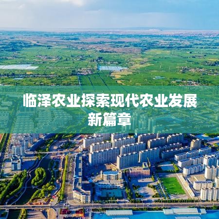 临泽农业探索现代农业发展新篇章
