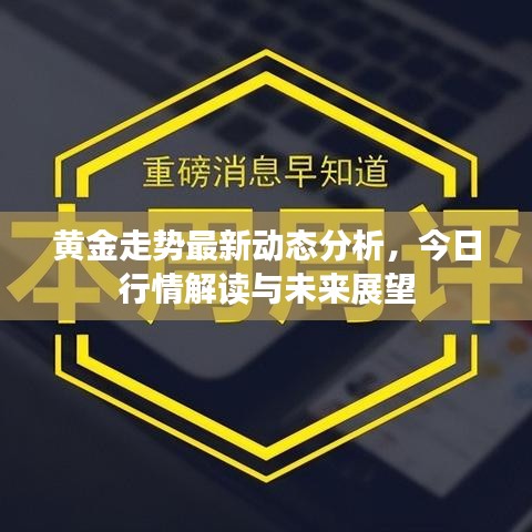 黄金走势最新动态分析，今日行情解读与未来展望
